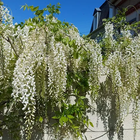 La Maison Des Magnolias Prázdninový dům Trouville-sur-Mer